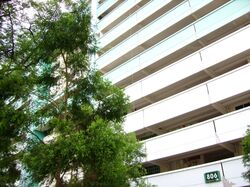 Blk 806 Tampines Polyview (Tampines), HDB 4 Rooms #589201661